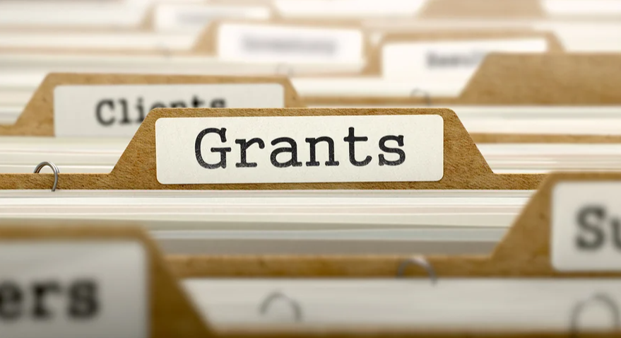 Grant opportunity for participation in the EECA Judges Forum